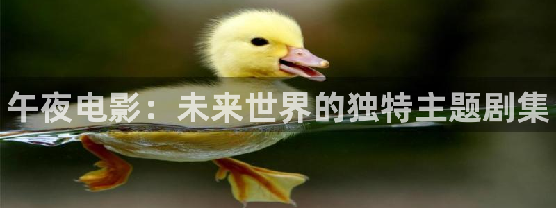 午马电影电视剧在线播放免费观看资源
