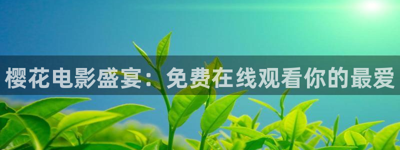午马电影电视剧在线观看免费