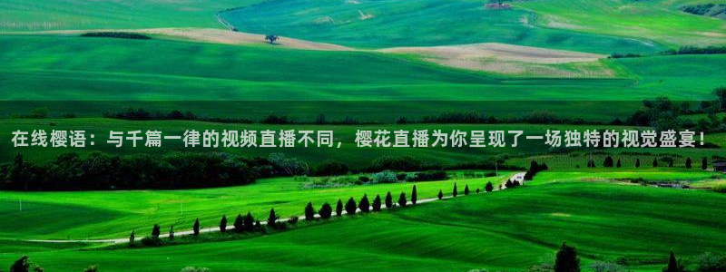 午马电影 伦理片