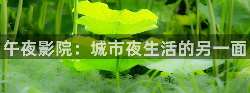 星空影城影讯