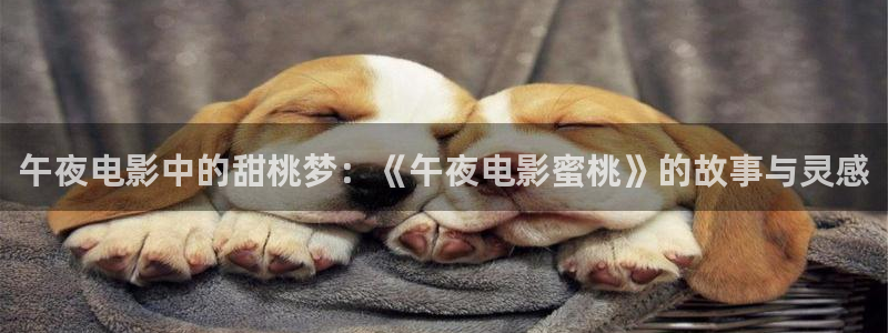 午马电影在线高清免费观看