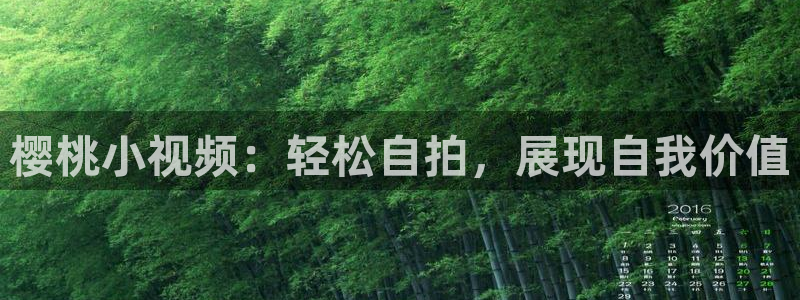 星空影业有限公司