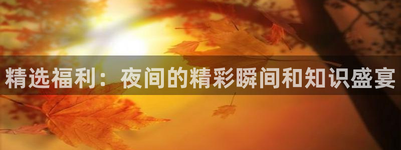 星空影视免费在线播放