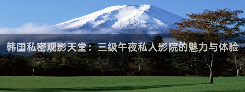 午马电影免费观看电影2023