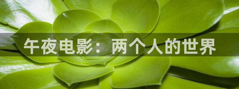 星空影视电视版