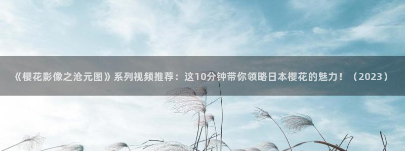 午马电影高清电影好看的电视剧推荐