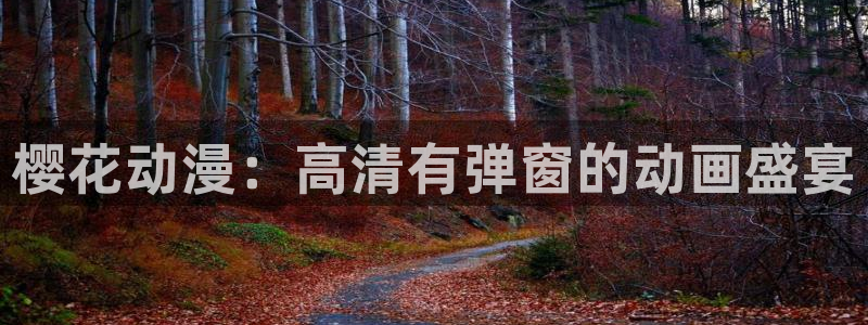 星空无痕mv免费观看在线高清