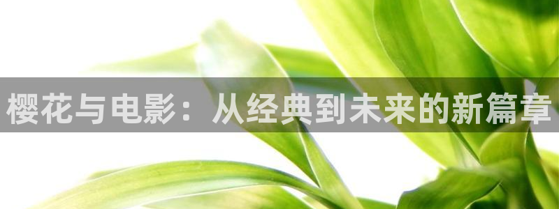 午马电影免费观看在线观看
