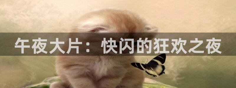 关于星空的