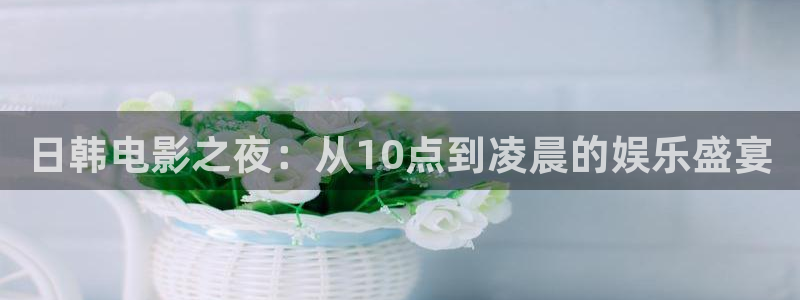 日正当中的星空 电影