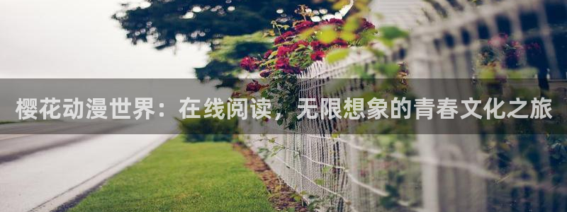 星空视频影视大全免费观看高清