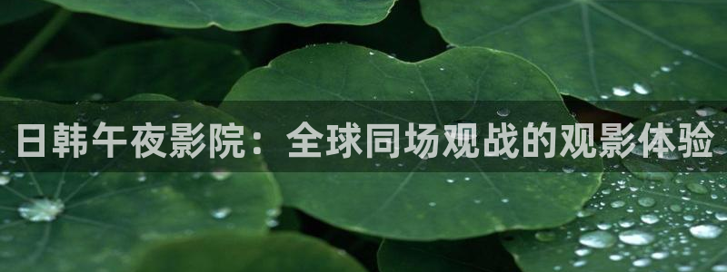 星空影视在线观