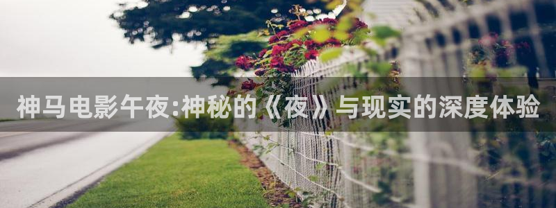 星空视频影院