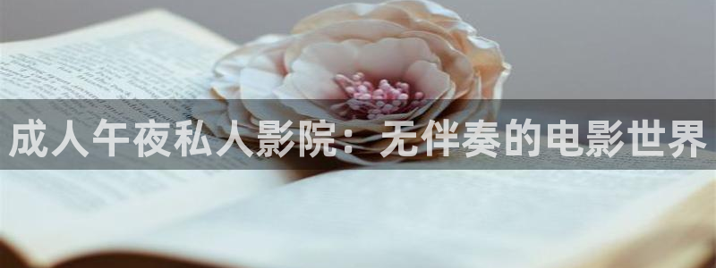 午马电影在线观看免费版高清