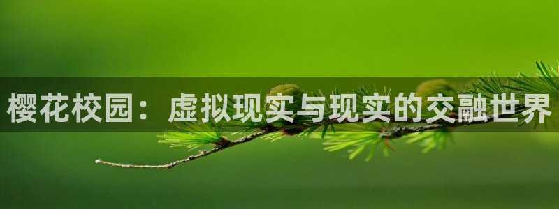 午马电影动漫高清免费观看