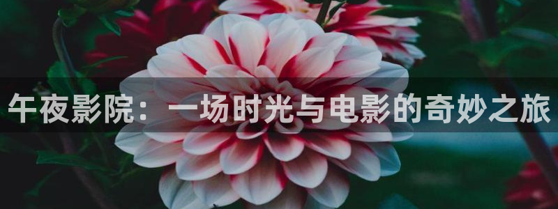 午马电影最新电视剧免费观看