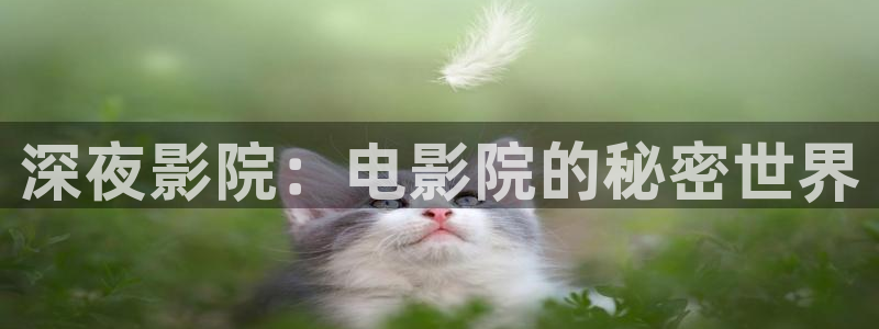 星空影视下载安装