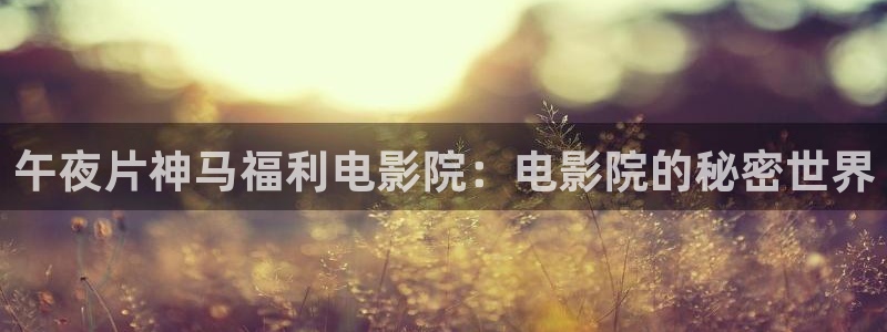 万里归途在线观看高清版策驰星空
