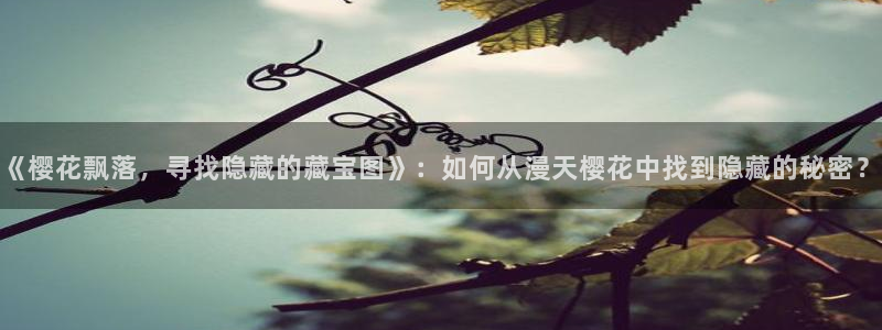 午马电影在线播放免费观看视频