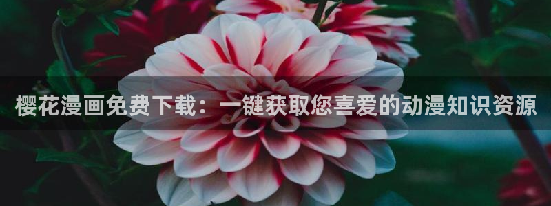 大丈夫高清免费观看星空