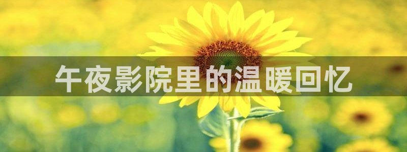 星空关岭影城