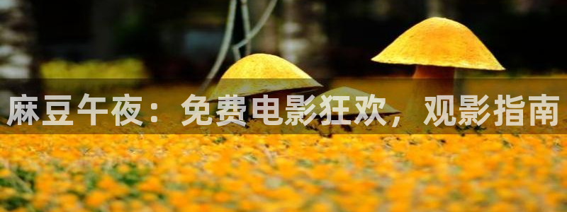 星空传媒在线观看
