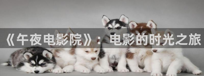 午马电影电视免费播放下载