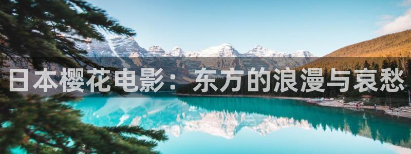 午马电影电视剧免费观看完整版高清