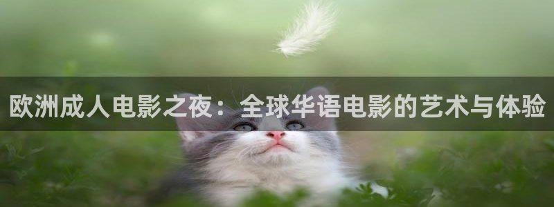 午马电影在线观看全集免费高清视频
