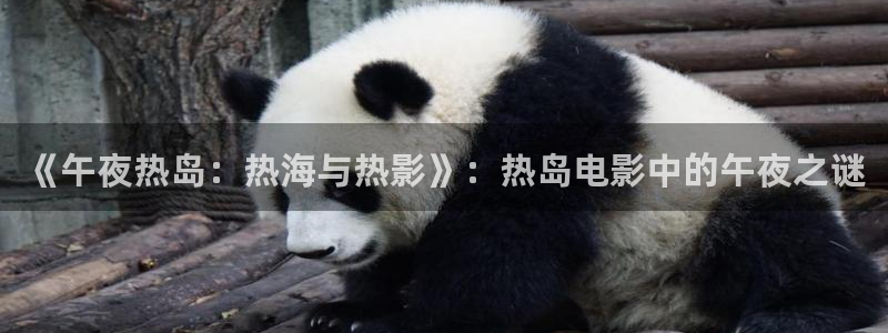 星空影视网下载