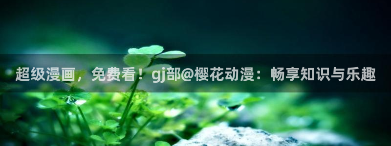 午马电影最新电视剧免费观看